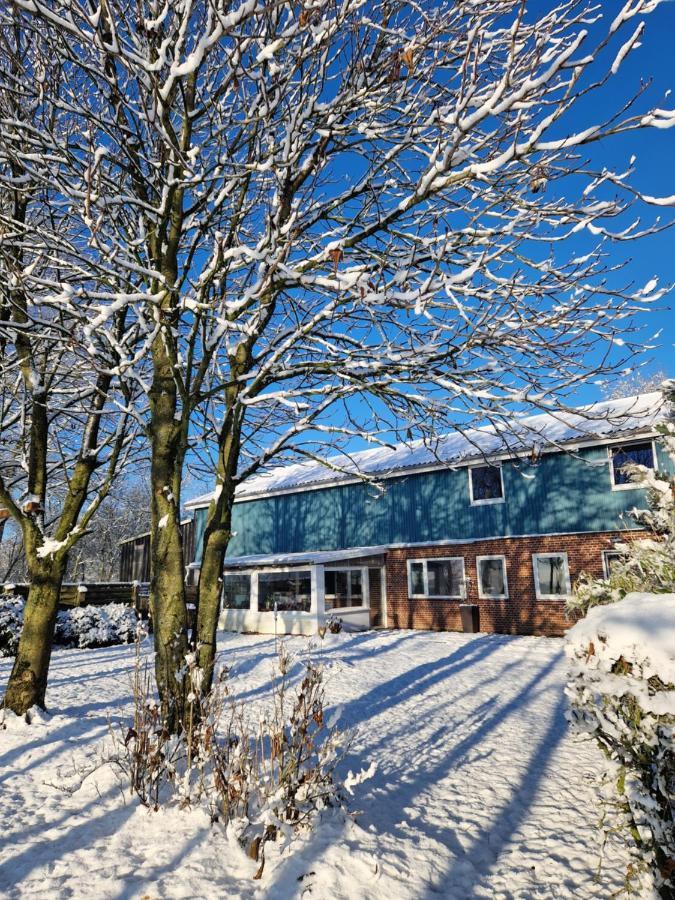 Ferienwohnung Sort Sol Grellsbuelldeich 7 Aventoft Экстерьер фото