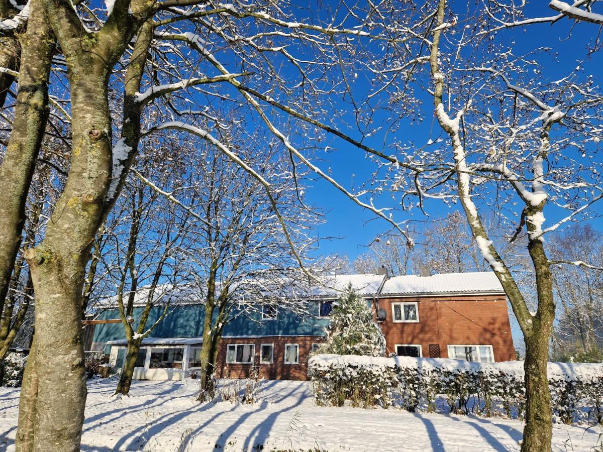 Ferienwohnung Sort Sol Grellsbuelldeich 7 Aventoft Экстерьер фото