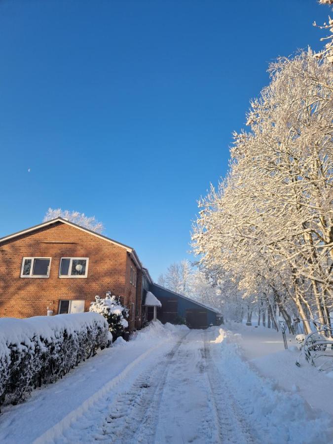 Ferienwohnung Sort Sol Grellsbuelldeich 7 Aventoft Экстерьер фото