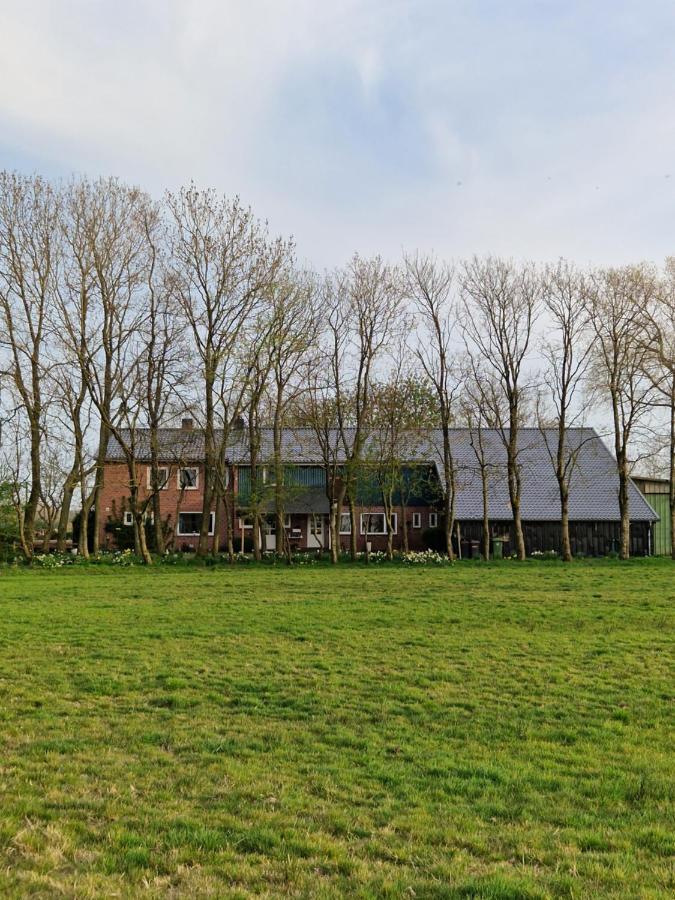 Ferienwohnung Sort Sol Grellsbuelldeich 7 Aventoft Экстерьер фото