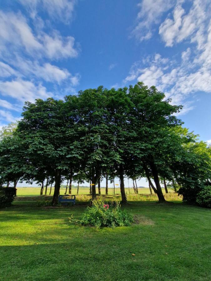 Ferienwohnung Sort Sol Grellsbuelldeich 7 Aventoft Экстерьер фото