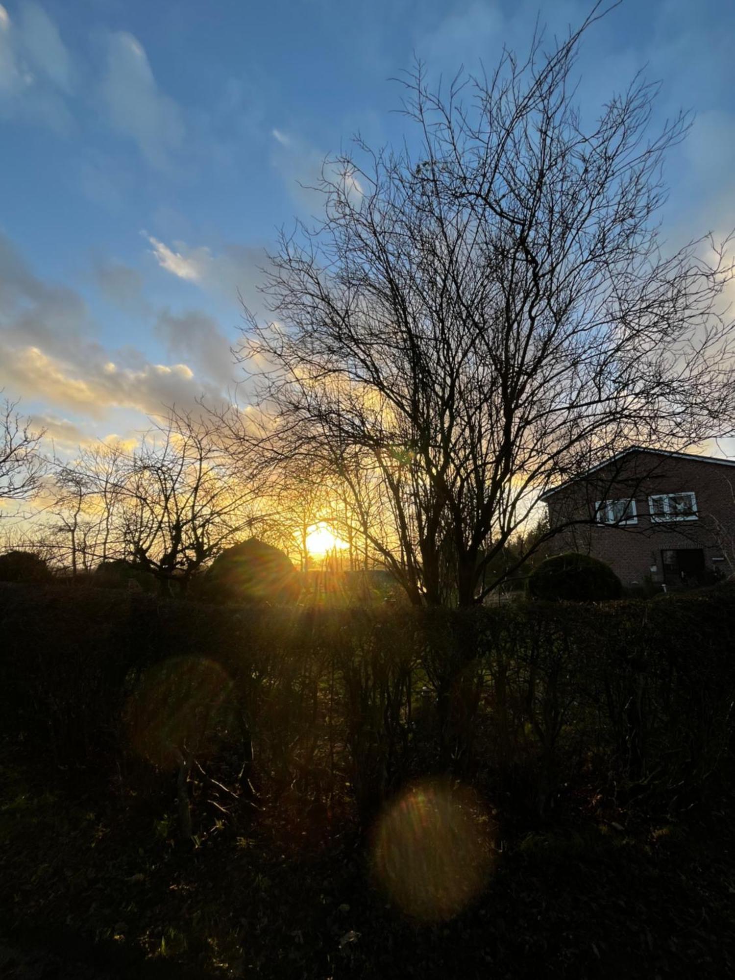Ferienwohnung Sort Sol Grellsbuelldeich 7 Aventoft Экстерьер фото